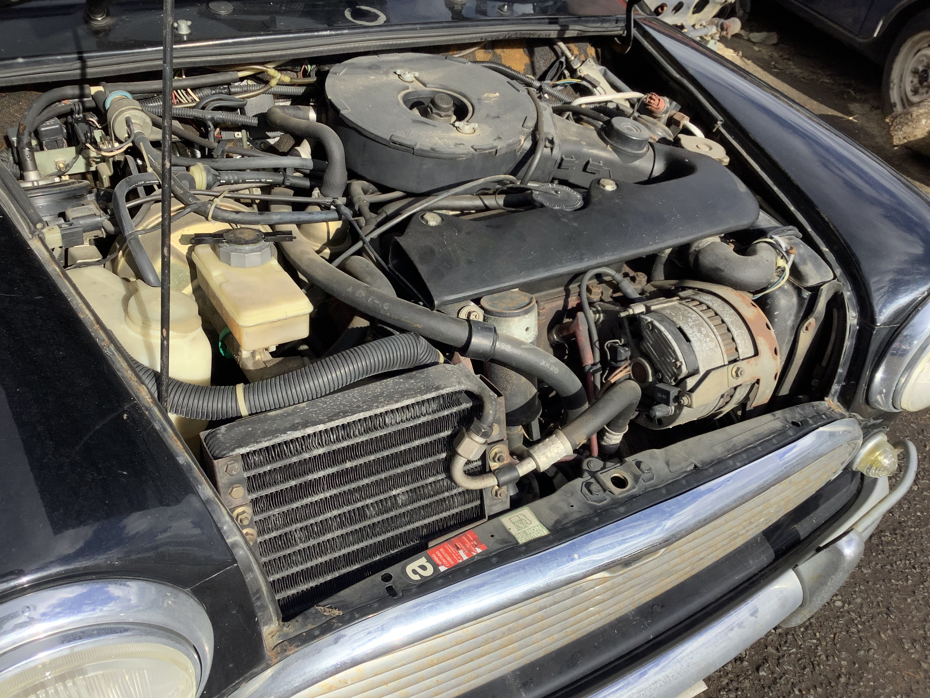 ローバーミニクーパー キャブクーパー 限定車