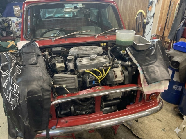 ローバーミニ タータンレッド